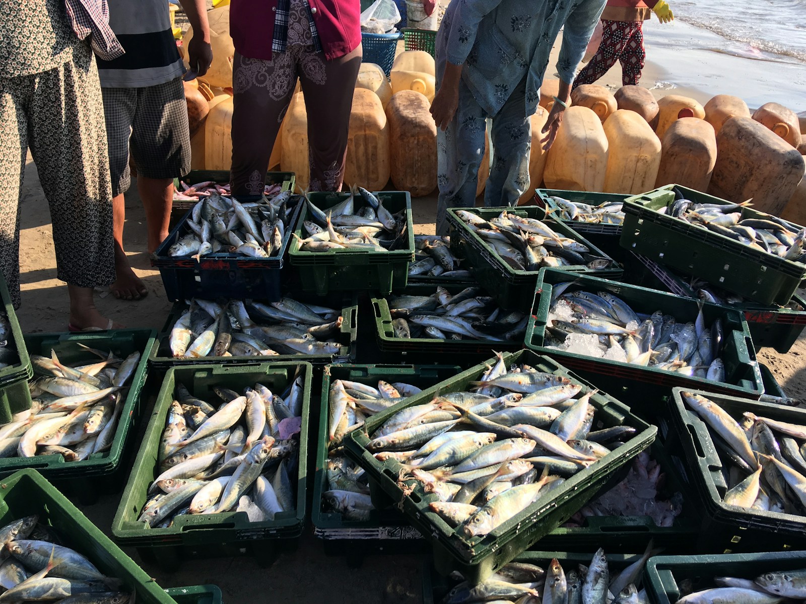 Fresh fish crates at a Canarian fish market